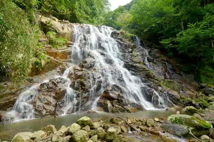 �{�Îs�E�����̑�